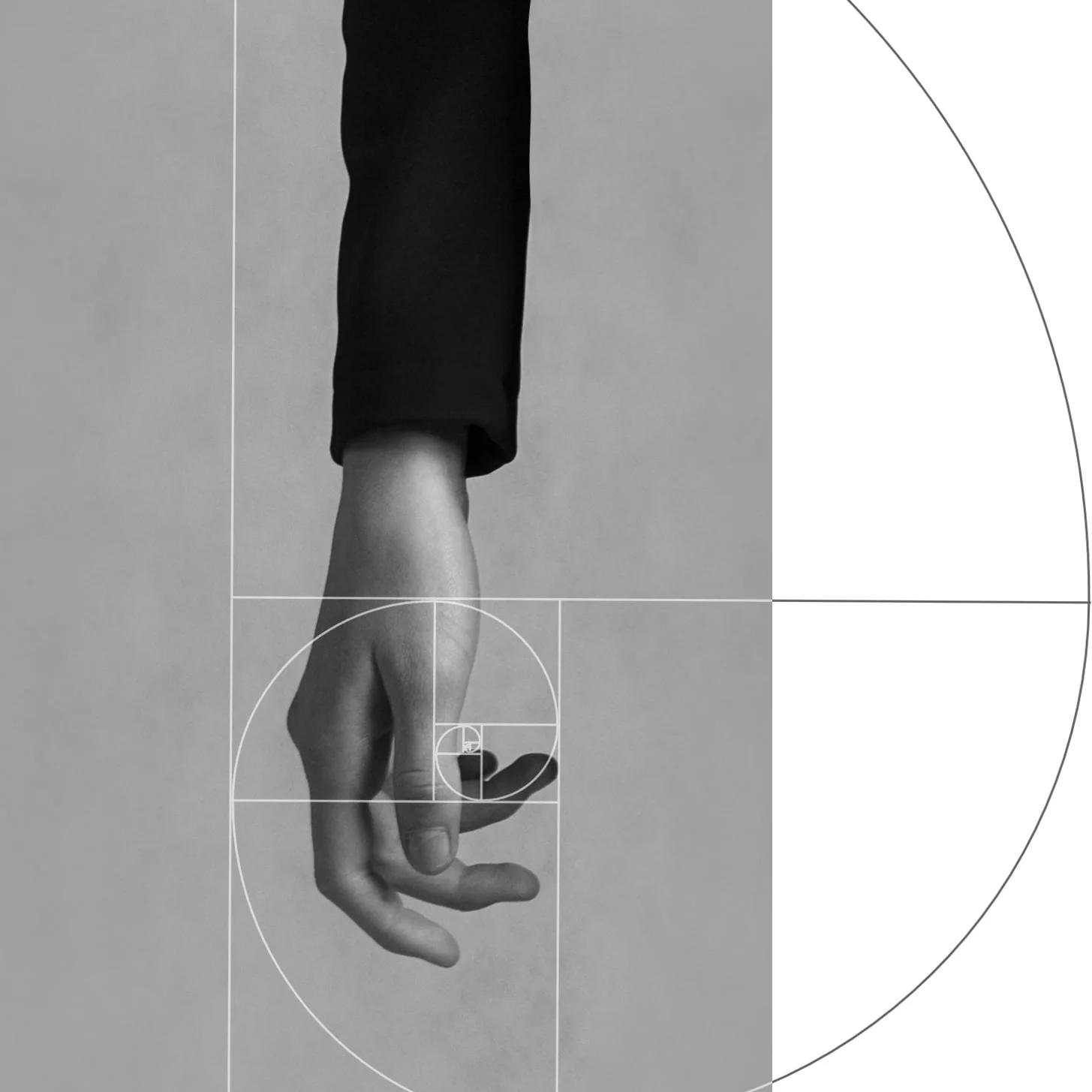 hand-fibonacci.jpg