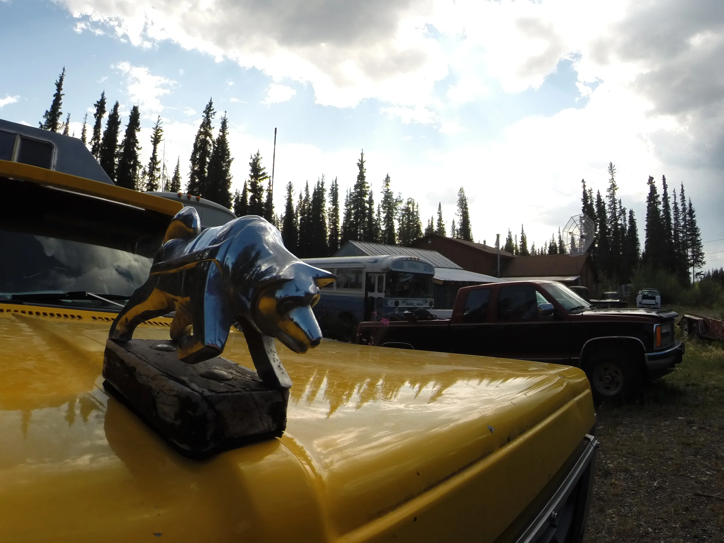 DCIM103GOPRO