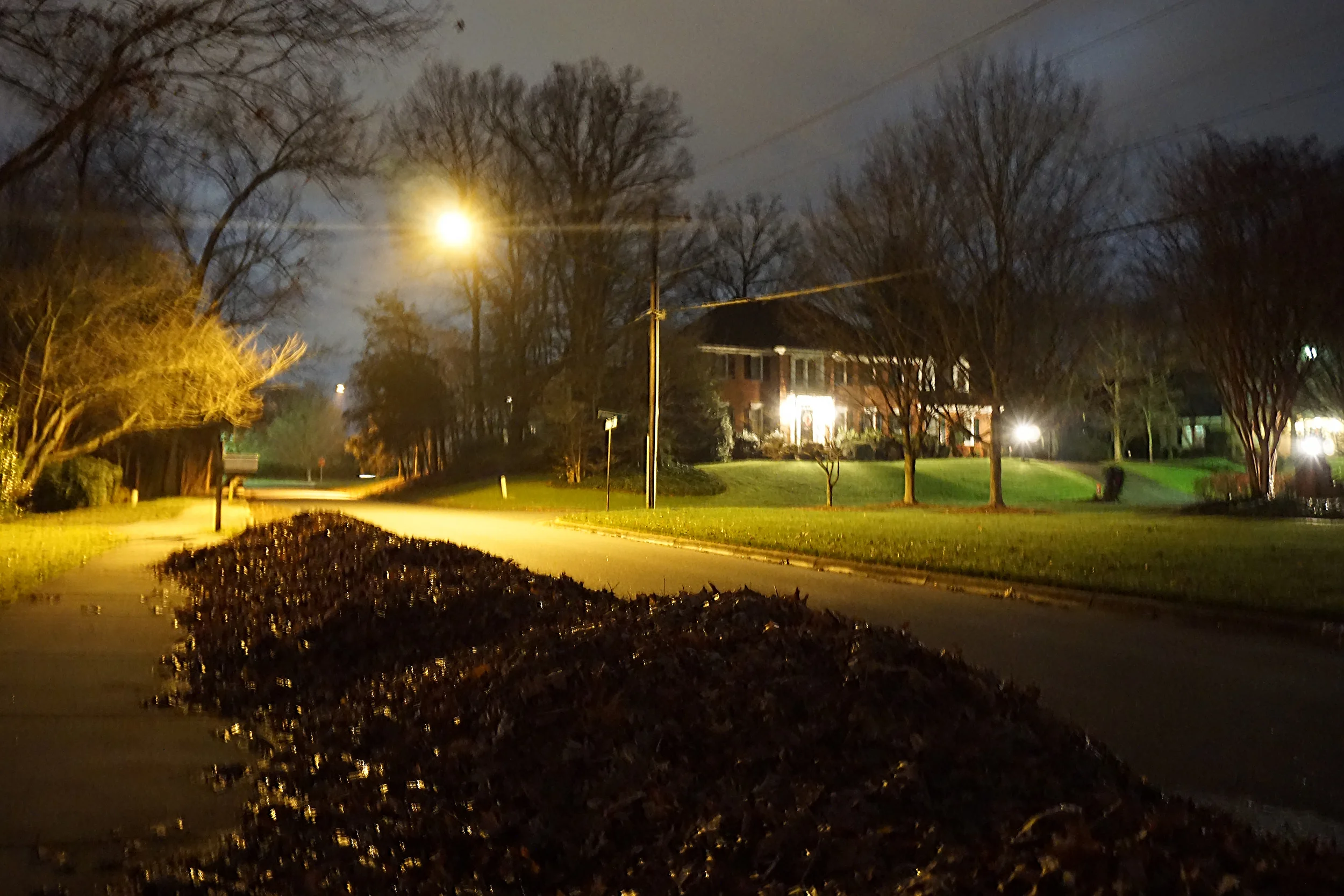 Hallowed Leaves
