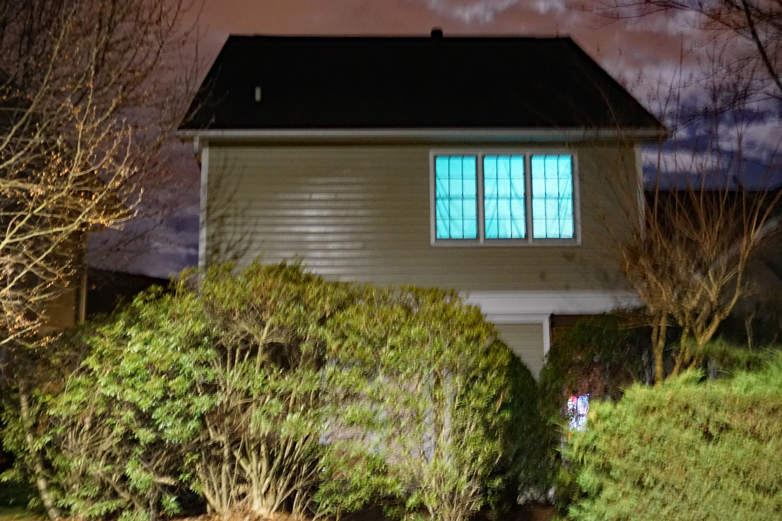 Alien Windows