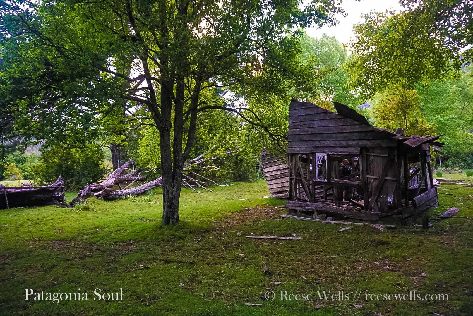 Abandoned Shack