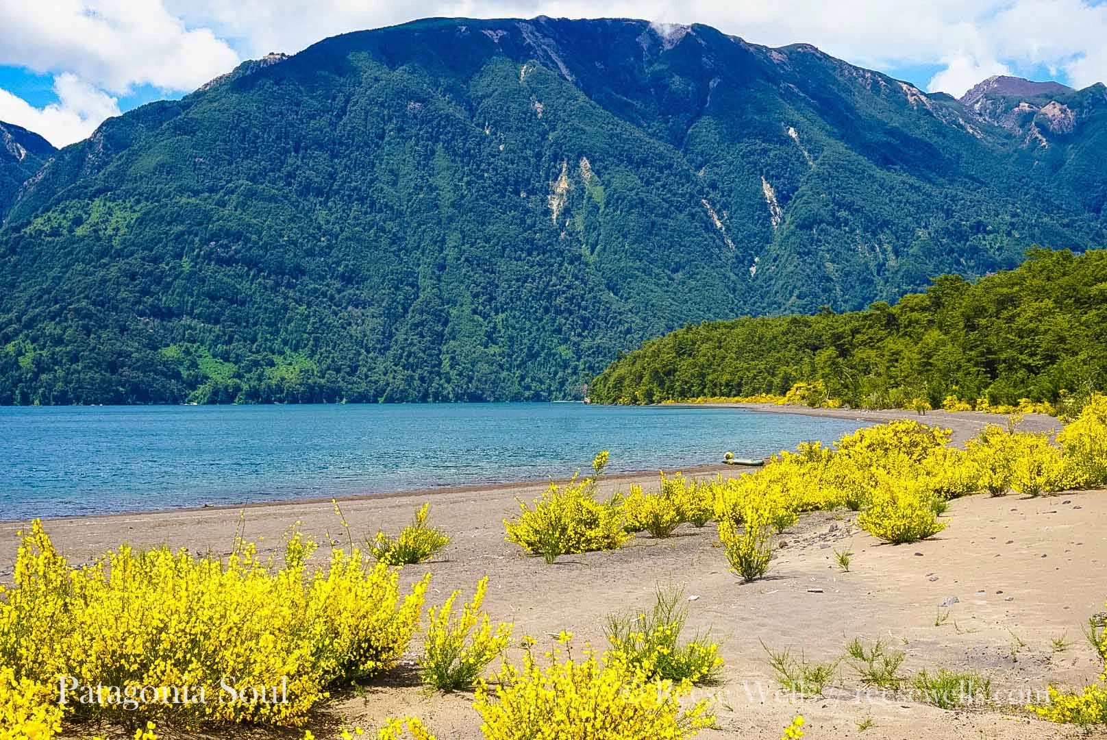 Lago Todos los Santos