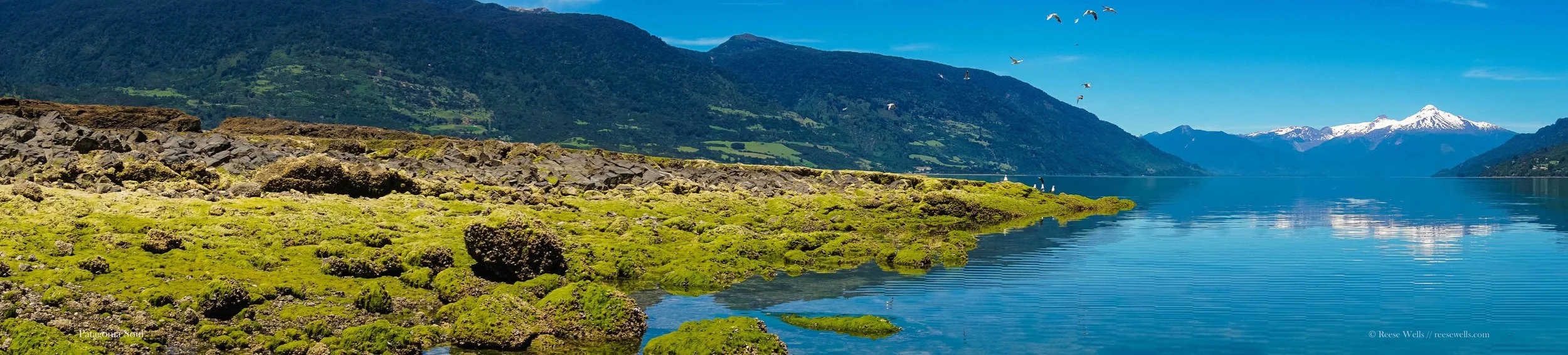 Estero Reloncavi Panorama