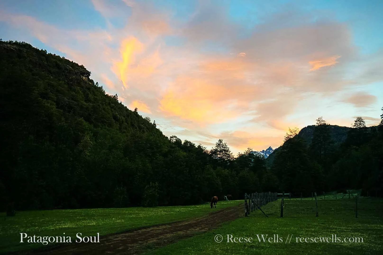 Bucolic Sunset