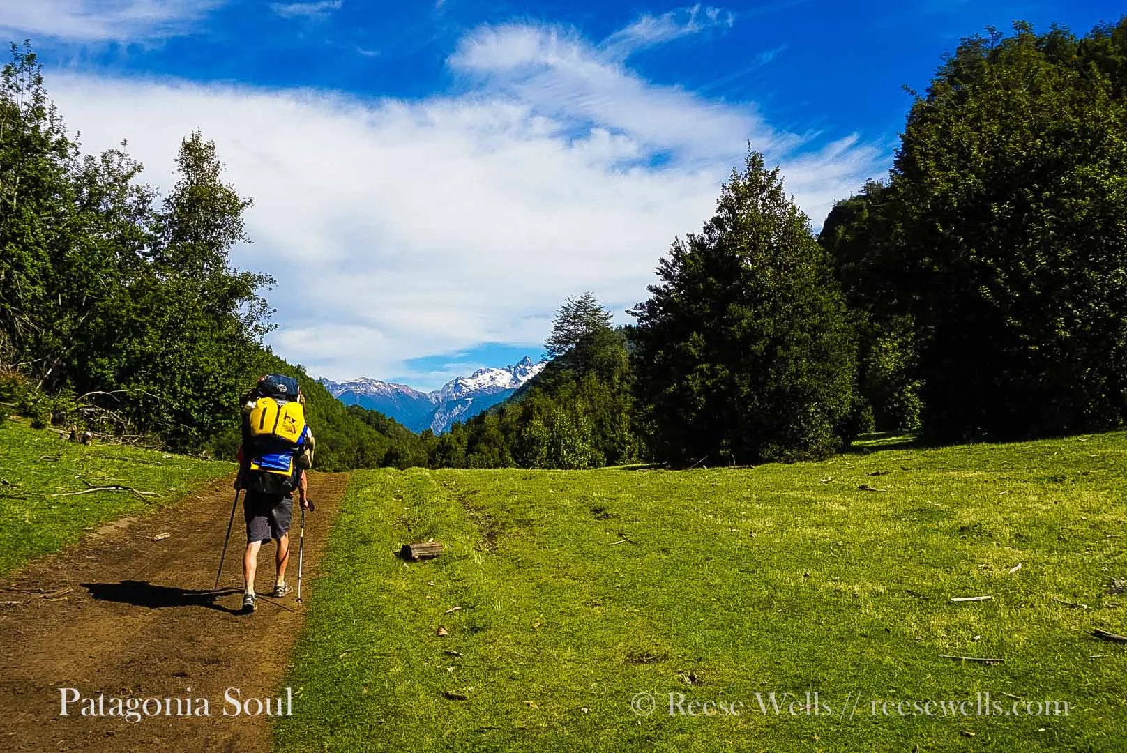 Hiking in a Chilean Field