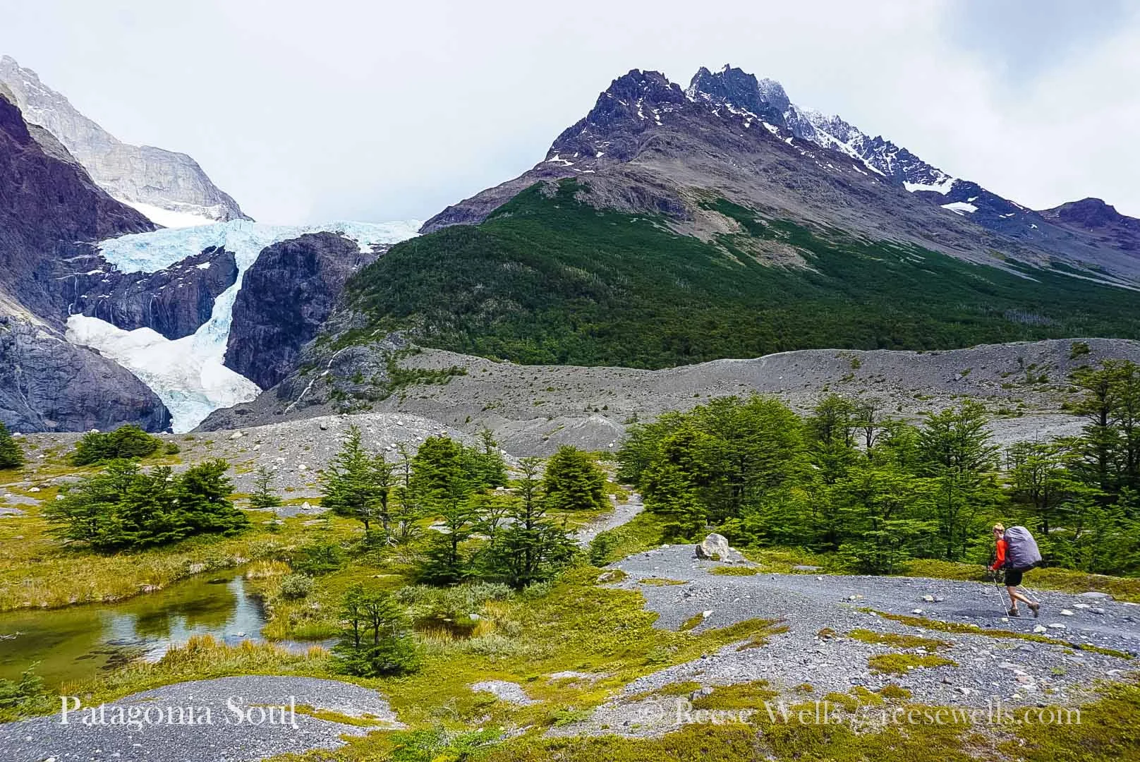 Glaciar Los Perros