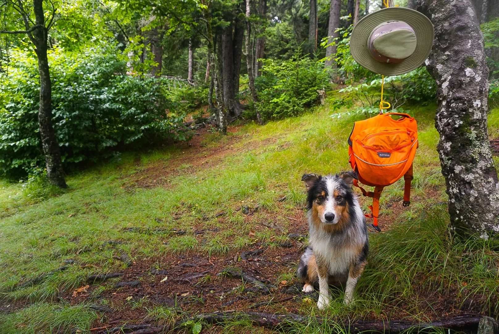 Ruffwear Photoshoot