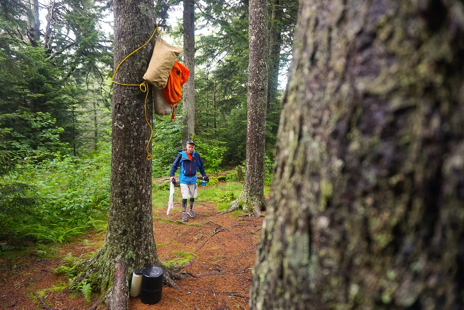Old Man Bear Hang