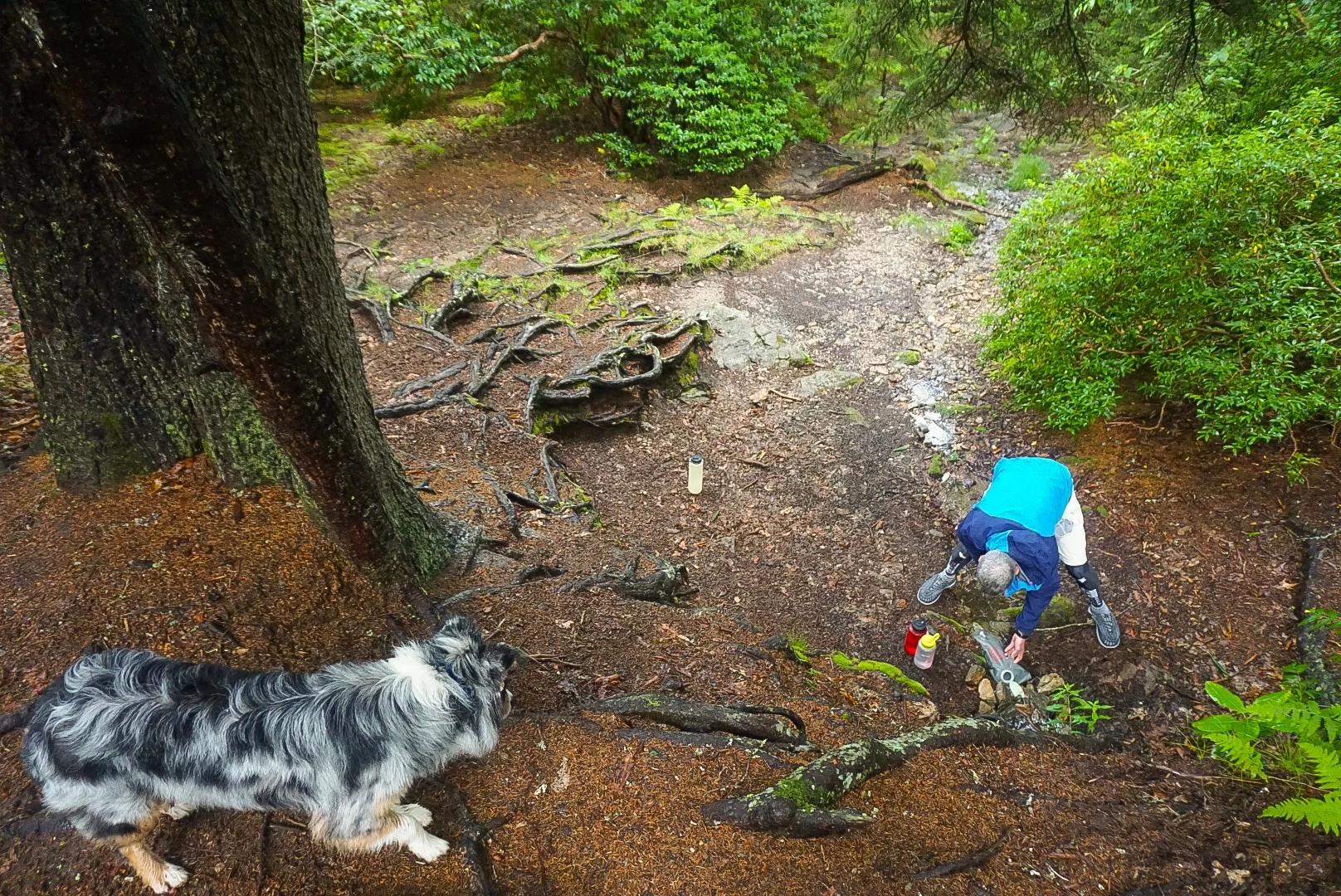 Shining Rock Gap Water Source