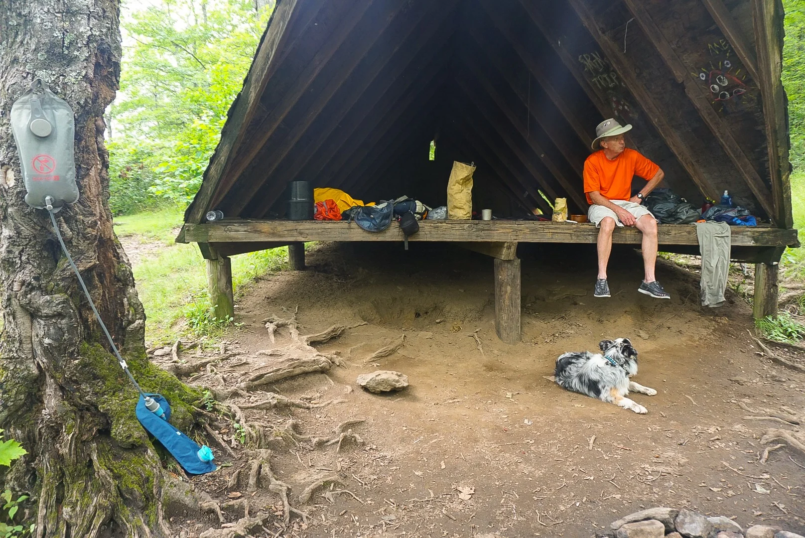 Deep Gap Shelter