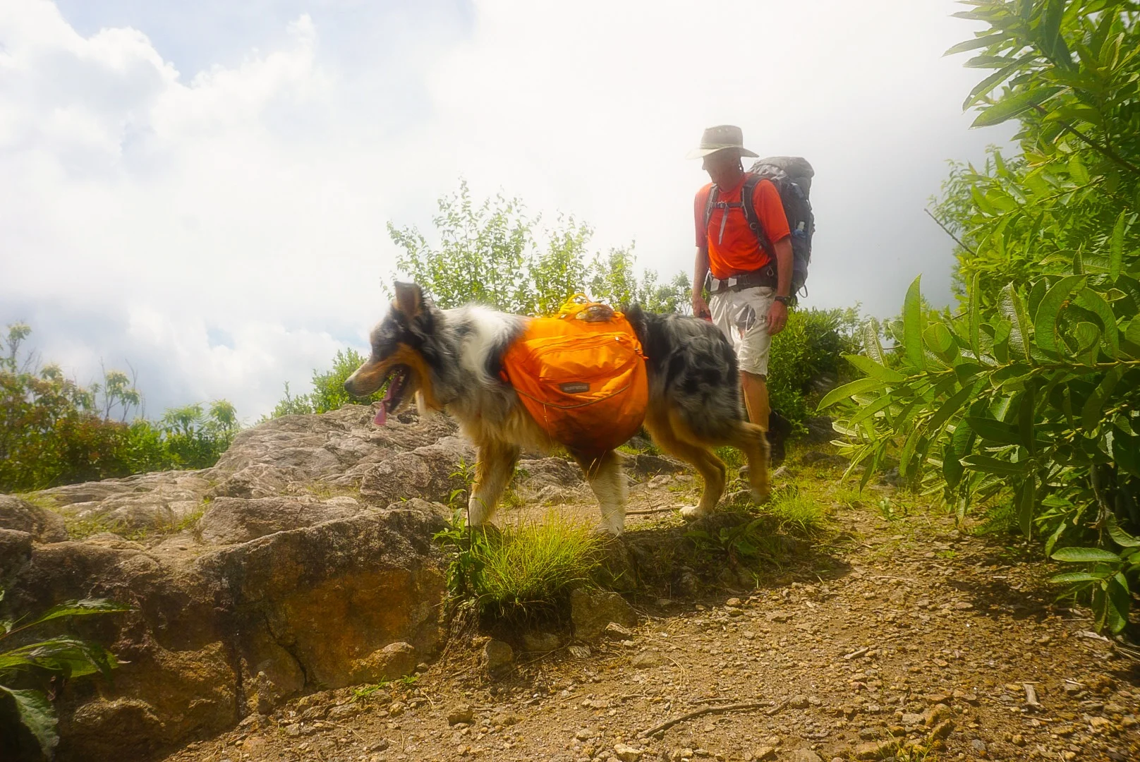 Pilot Mountain