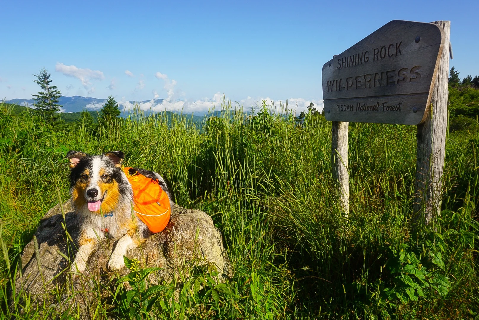 Entering Shining Rock Wilderness
