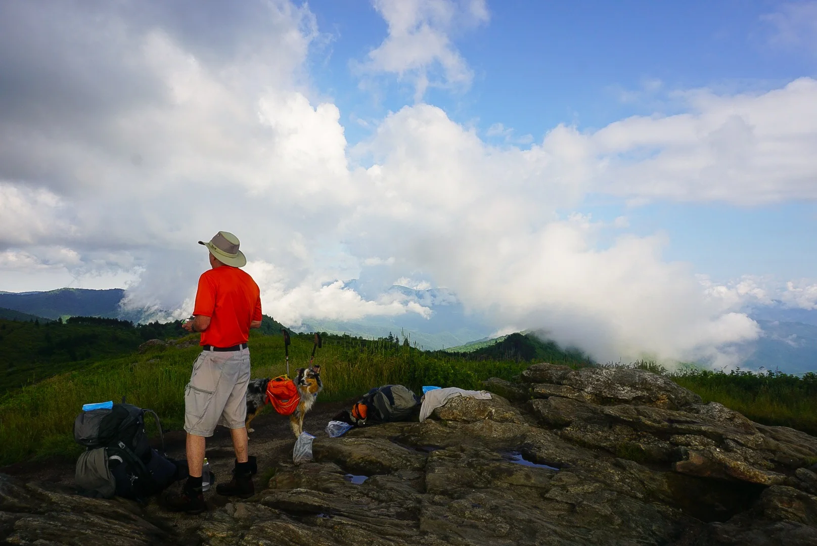 Tennent Mountain Overlook