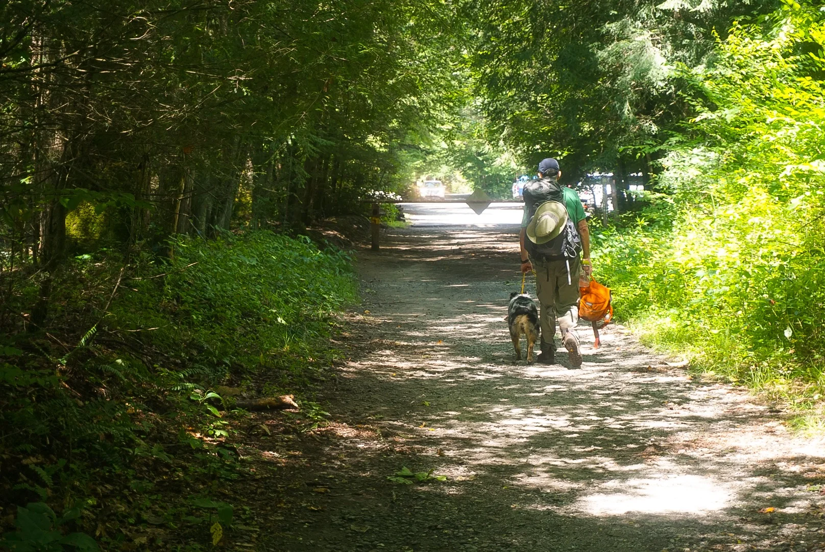 Davidson River Campground, the End