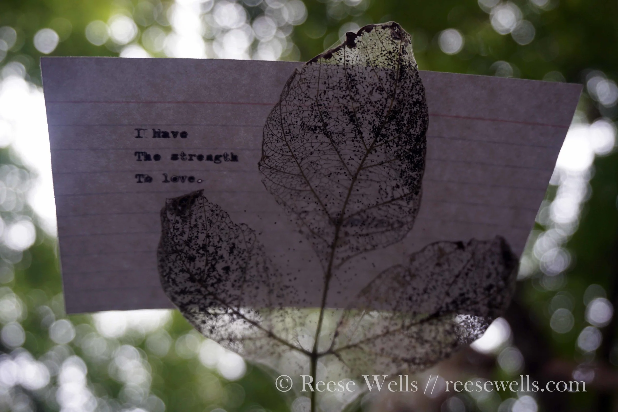 The Strength to Love