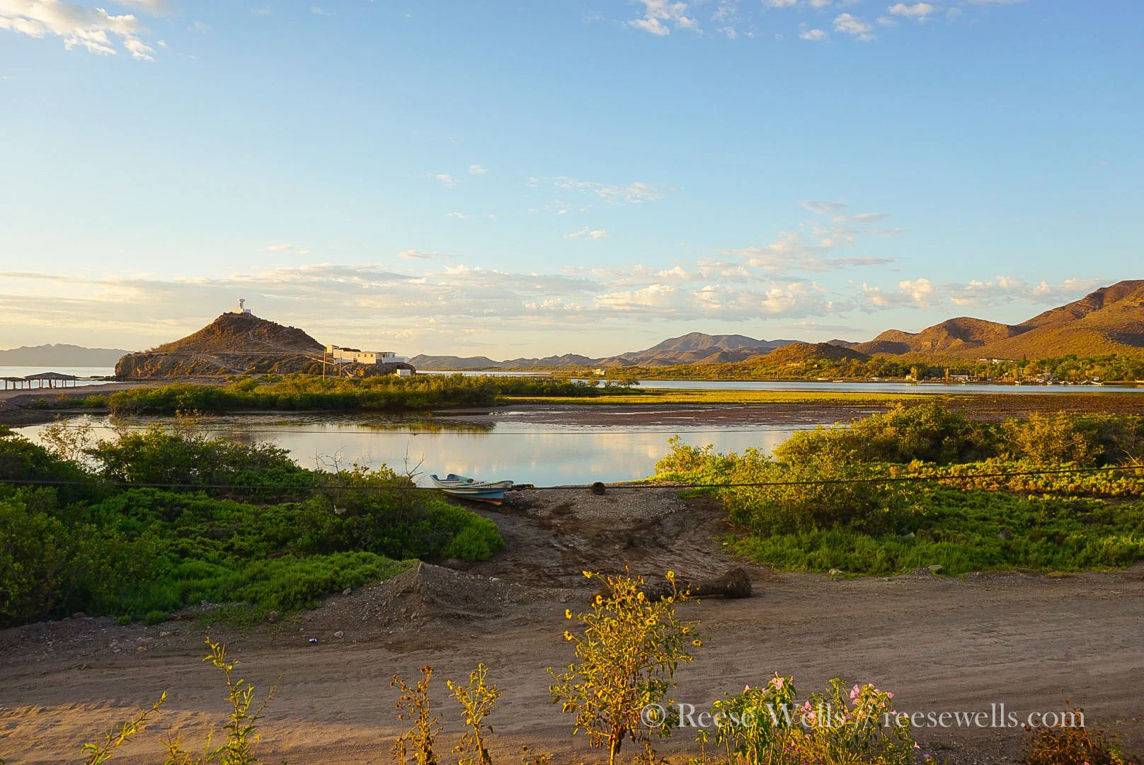 Sea of Cortez, Mulege