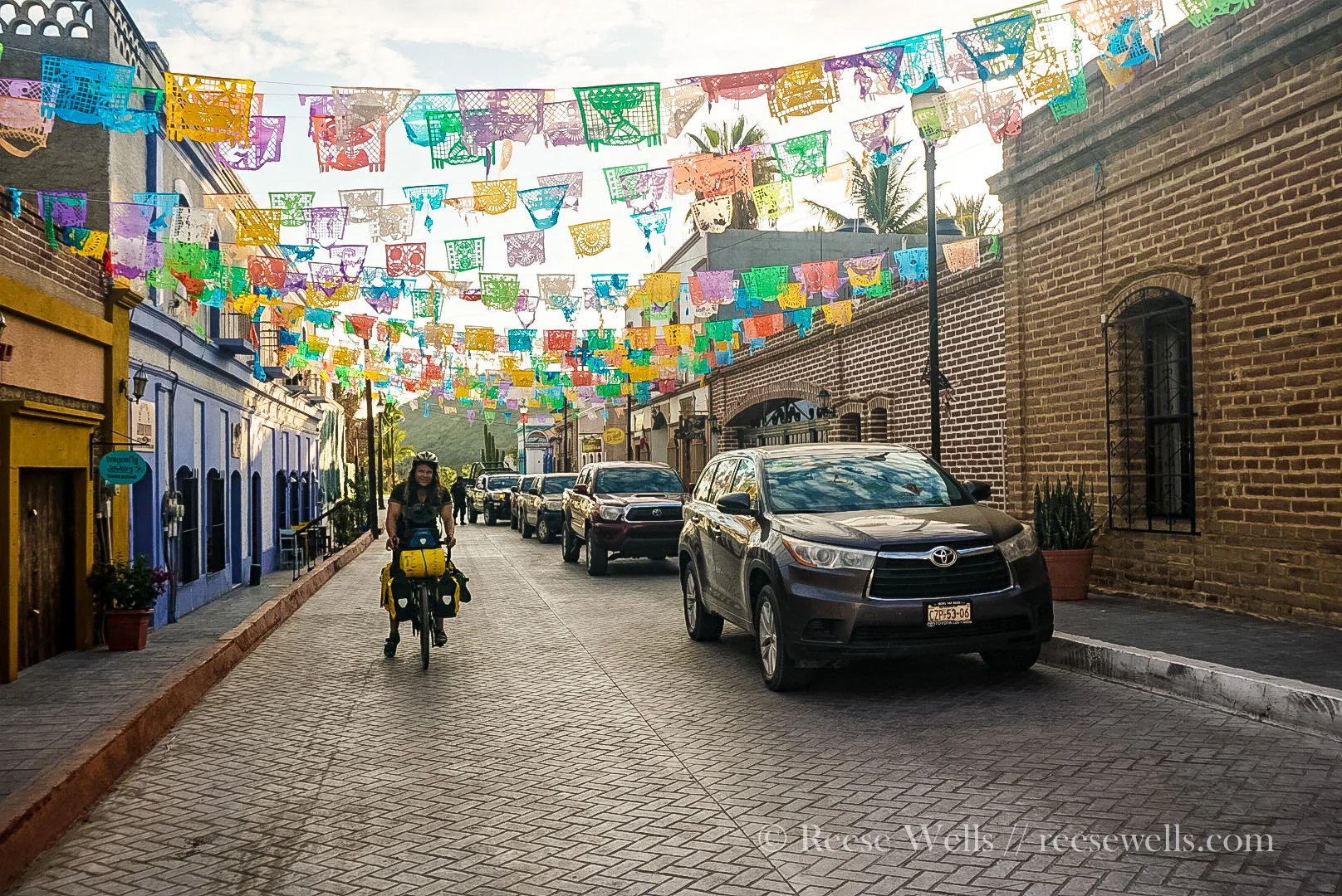 Todos Santos Flags