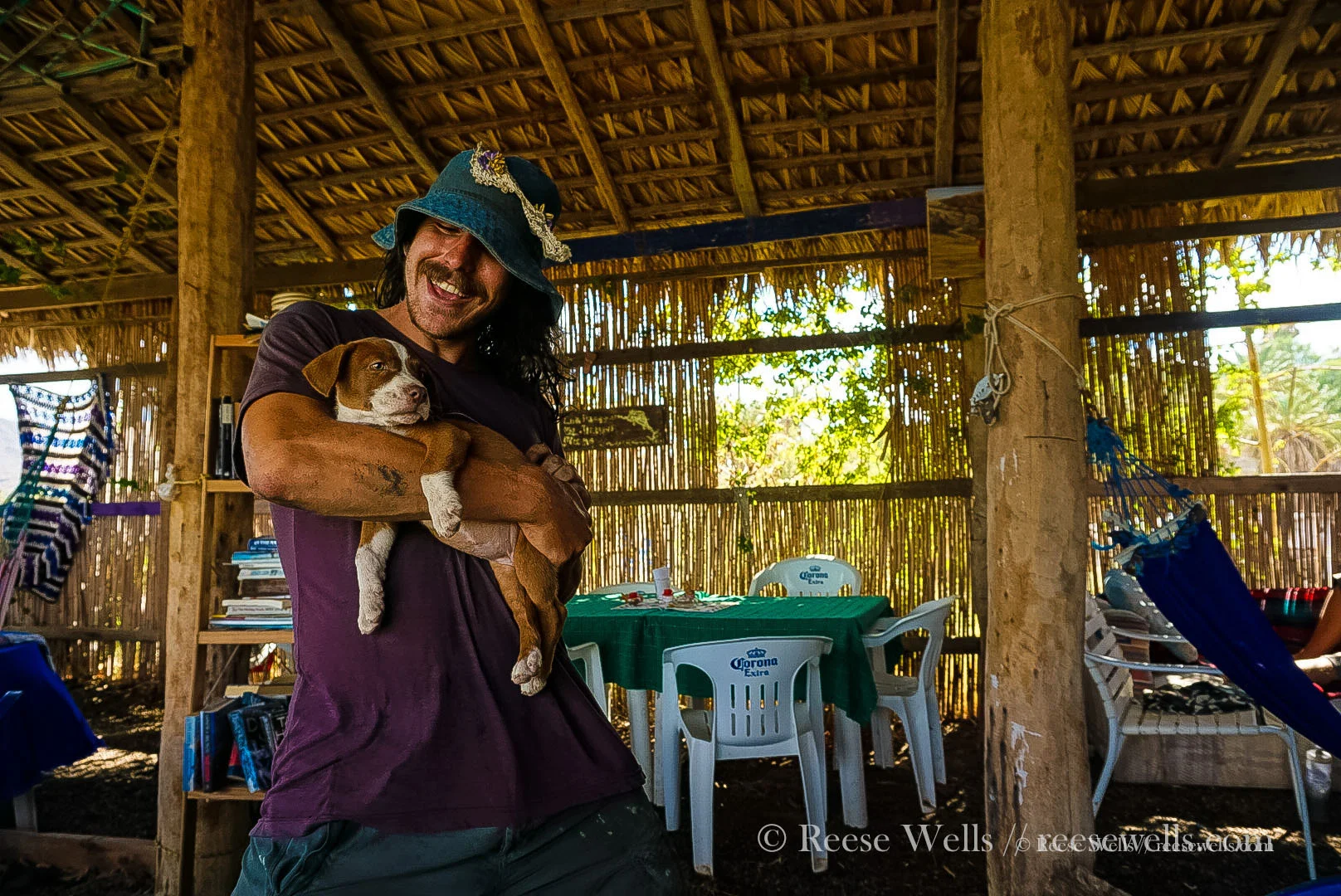 We found PUPPIES! A necessary two day stop in Muluge, Baja Sur.