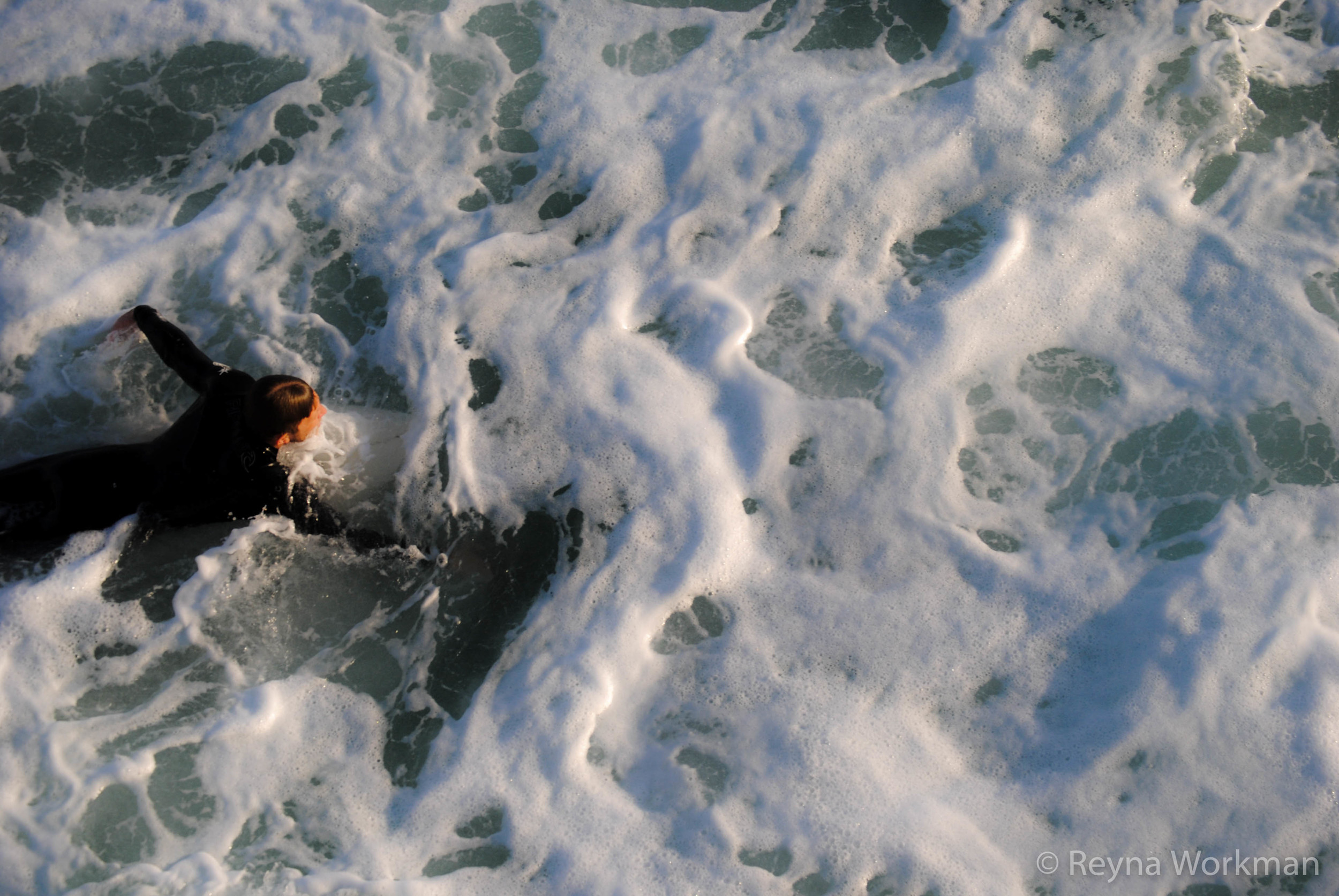 DSC_0487.jpg