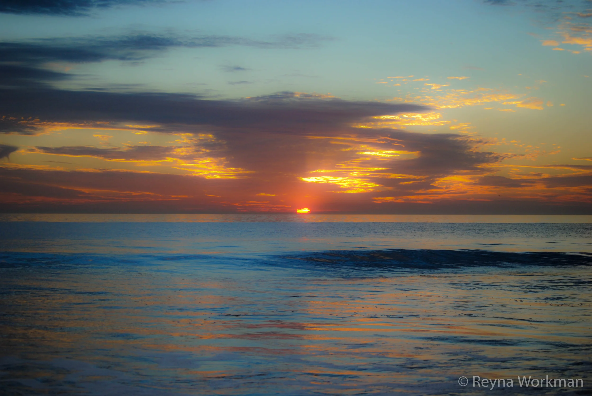 DSC_0417.jpg