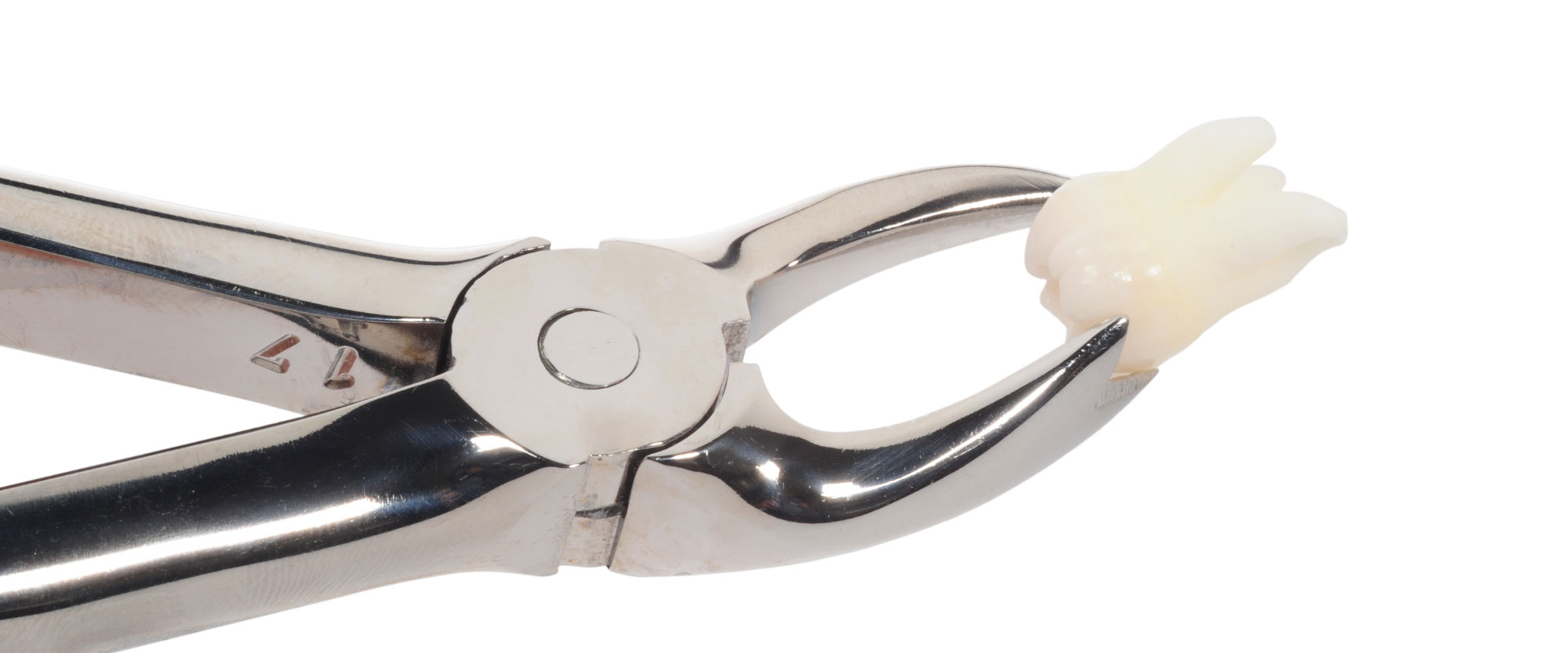 Extraction simple dent à plusieurs racines : CHF 52,30-