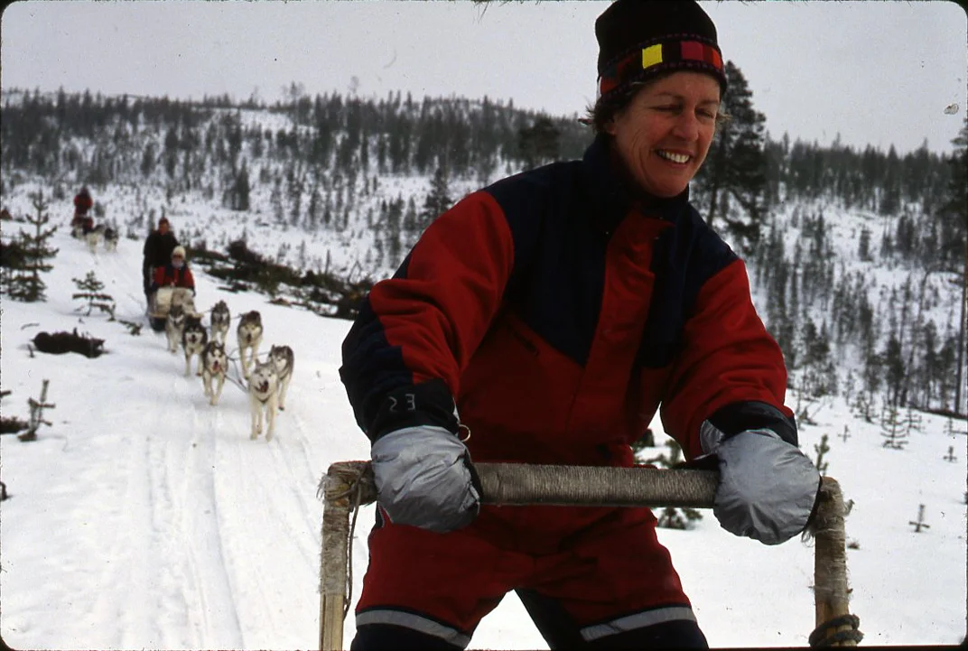 Dog sledding in Lapland