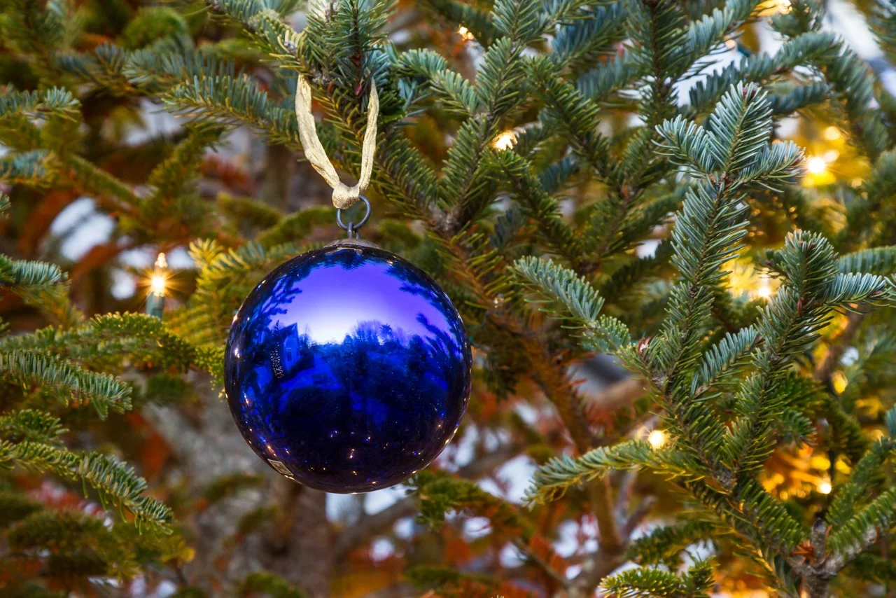 My Favorite Christmas Tree Ornament