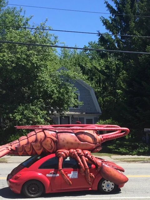 LOBSTER-MAINE-IA!