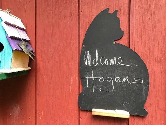 THE UMPTEENTH HOGAN FAMILY REUNION