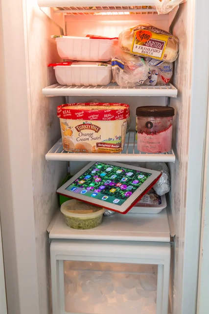 THE FREEZER ATE MY iPAD