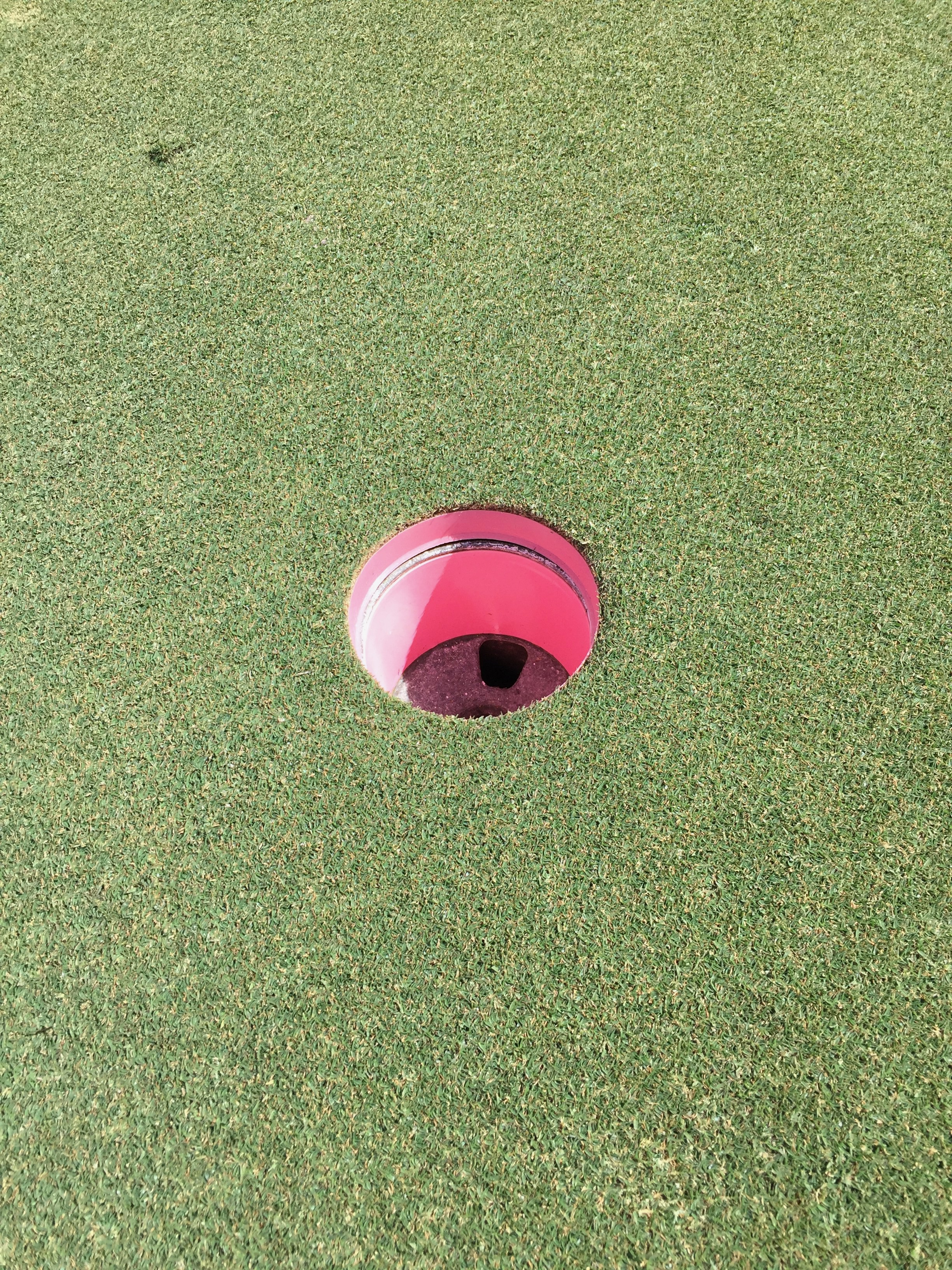 pink_hole_on_green.jpg