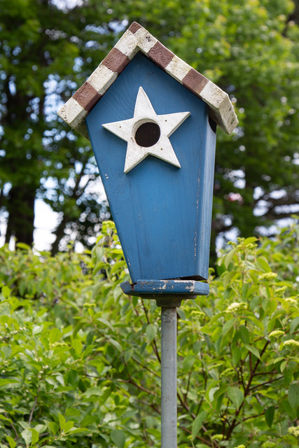 AmericanStar.jpeg