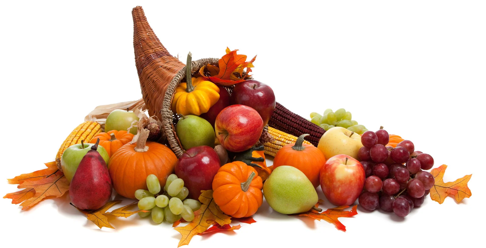 THANKFUL WORDS 