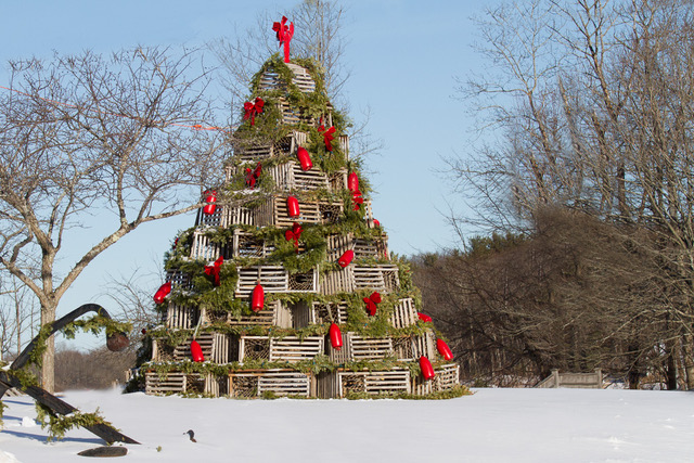 Cape_Porpoise_Christmas_Tree-.jpeg