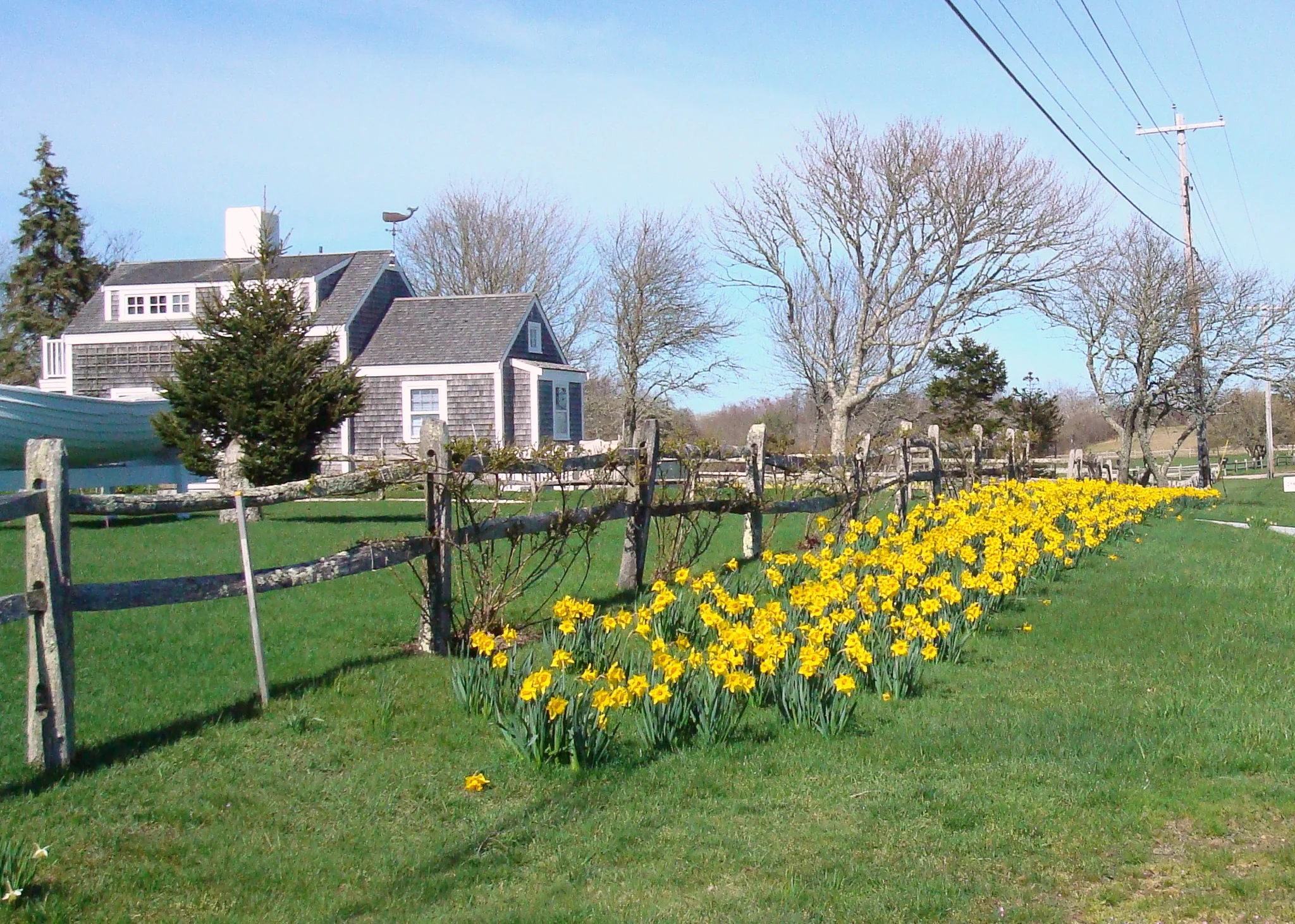 SIGNS OF SPRING
