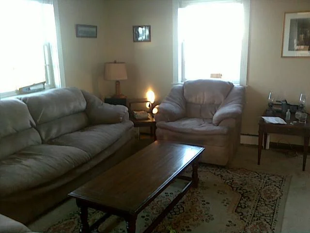 GoatIslandlivingroom.jpg