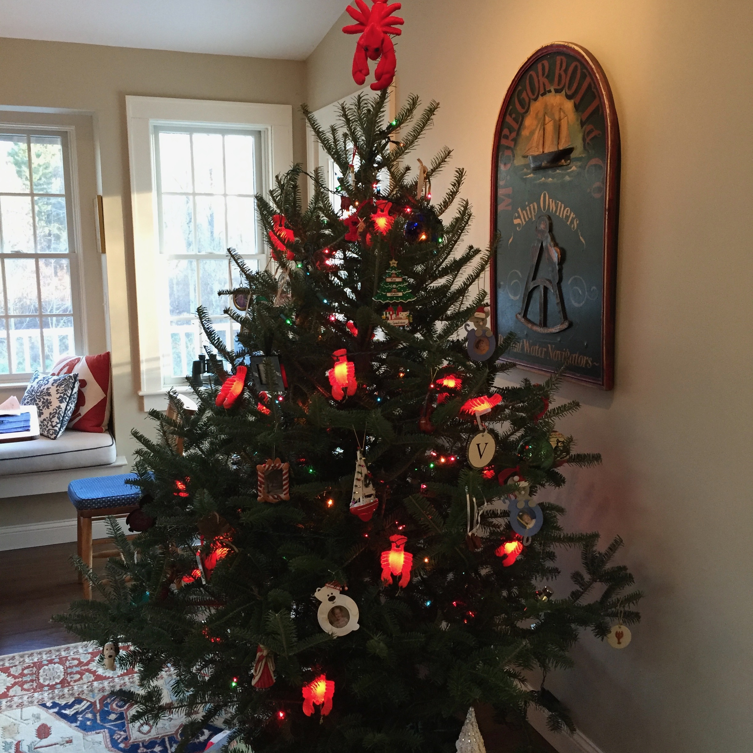 ChristmasTree.jpeg