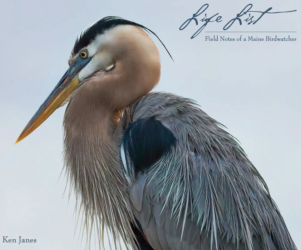 KEN JANES —  PHOTOGRAPHER, NATURALIST, RETIRED SURGEON,  TREASURED FRIEND and now …. AUTHOR!