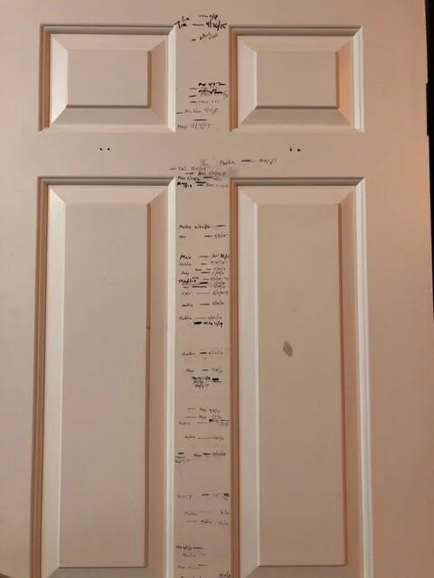 THE LAUNDRY ROOM DOOR