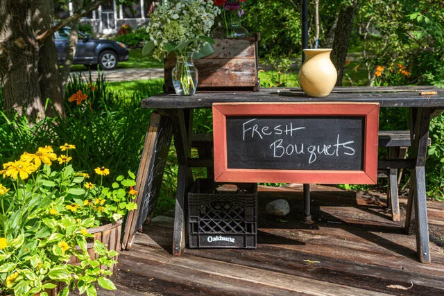 FLOWERS BY THE SIDE OF THE ROAD