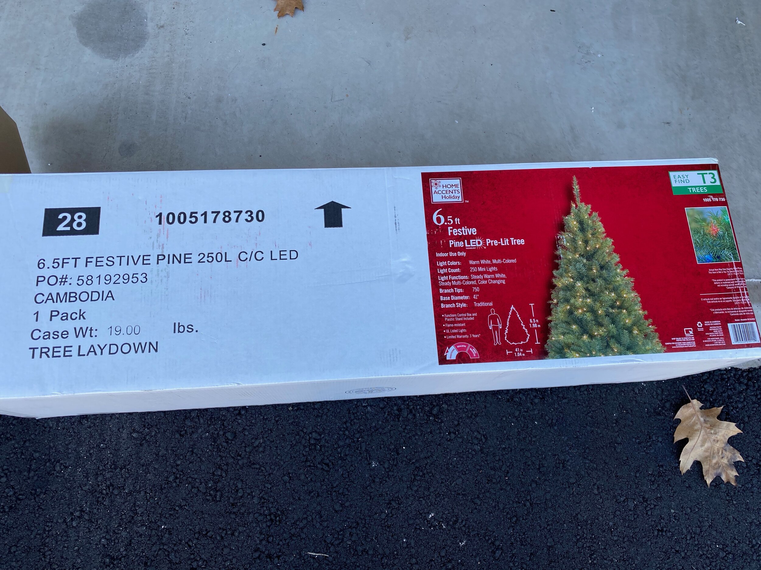 Treebox1.jpeg