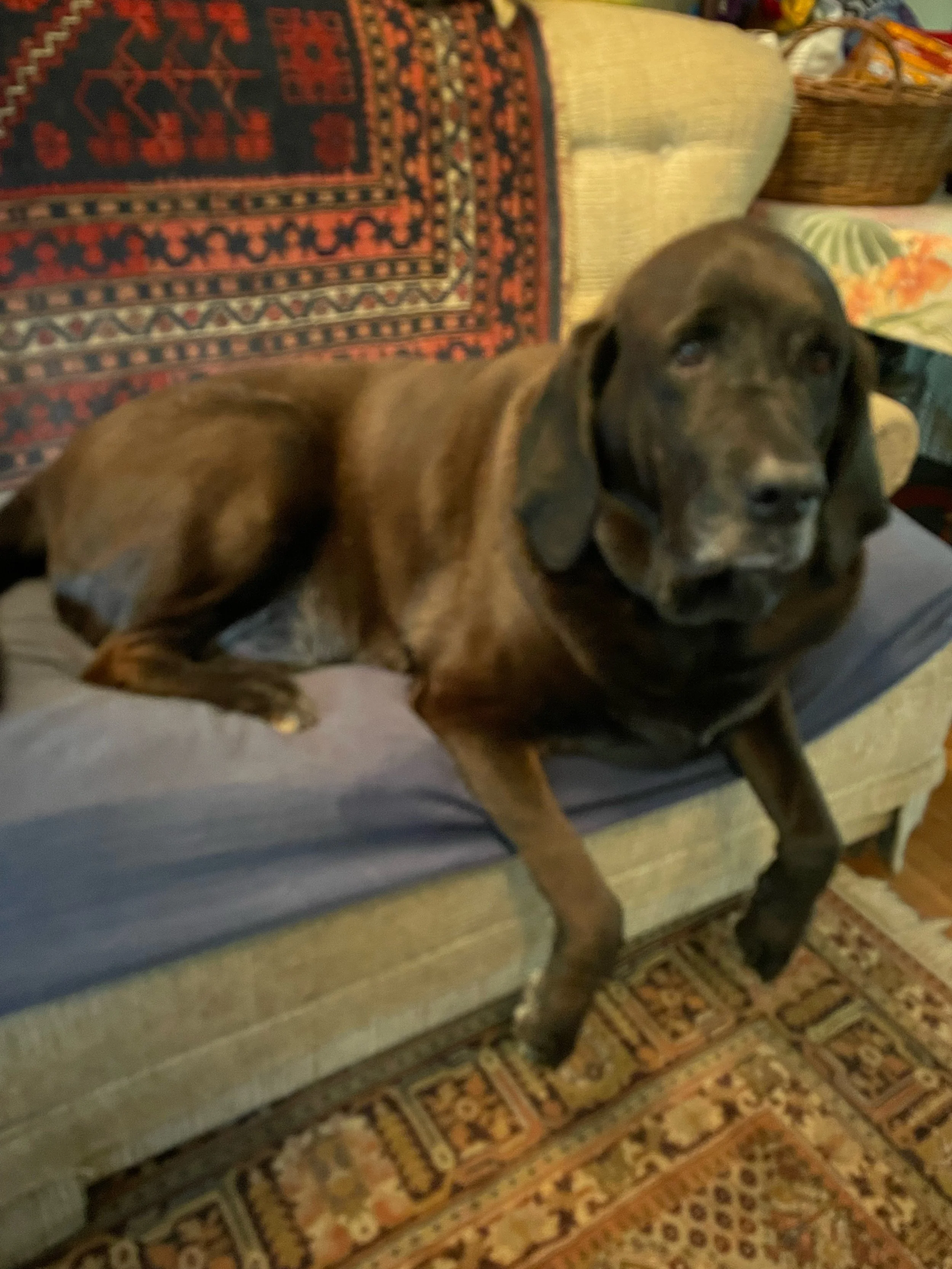 IT'S ALL IN THE FAMILY