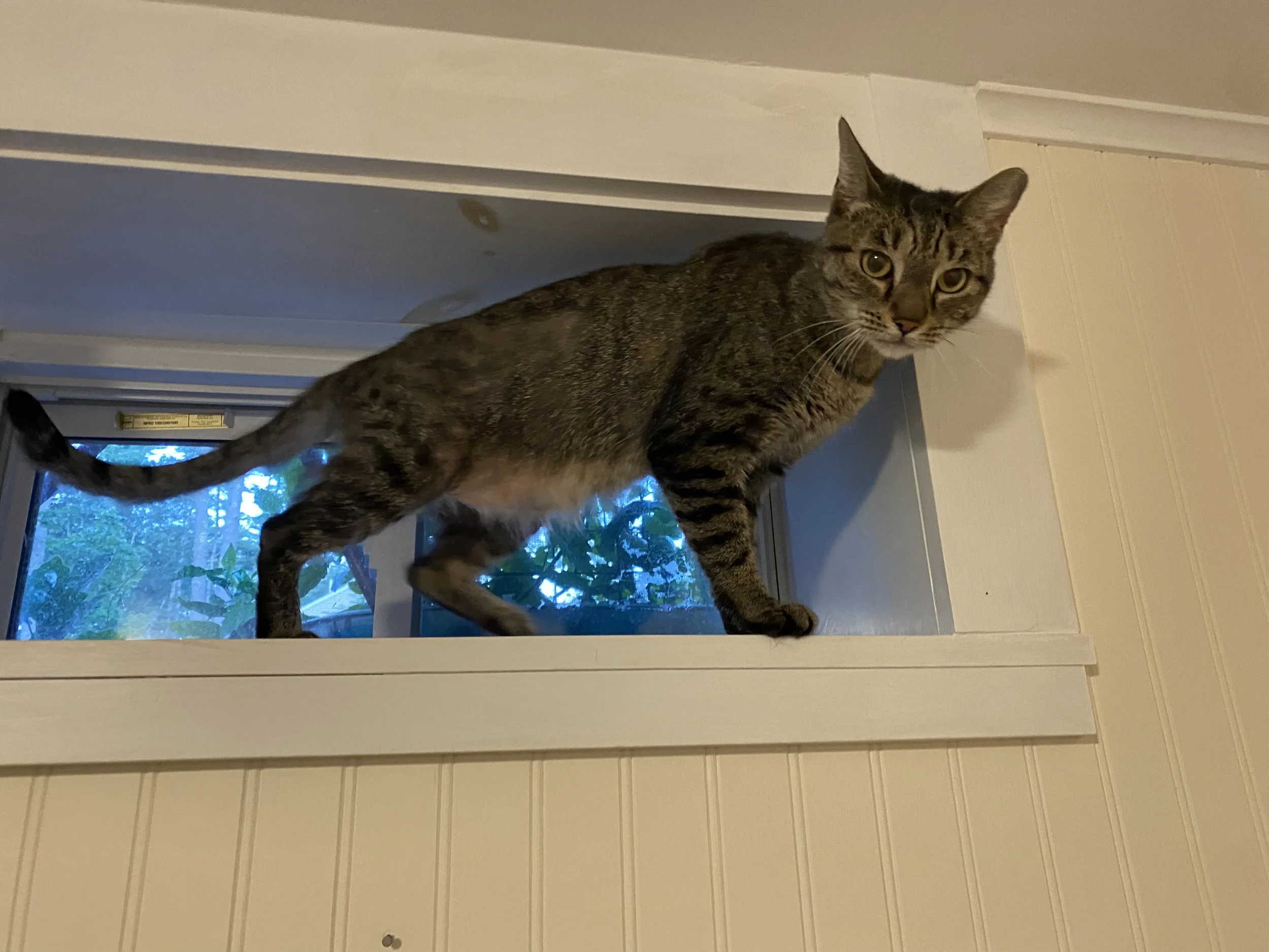 AND HER NAME IS .....