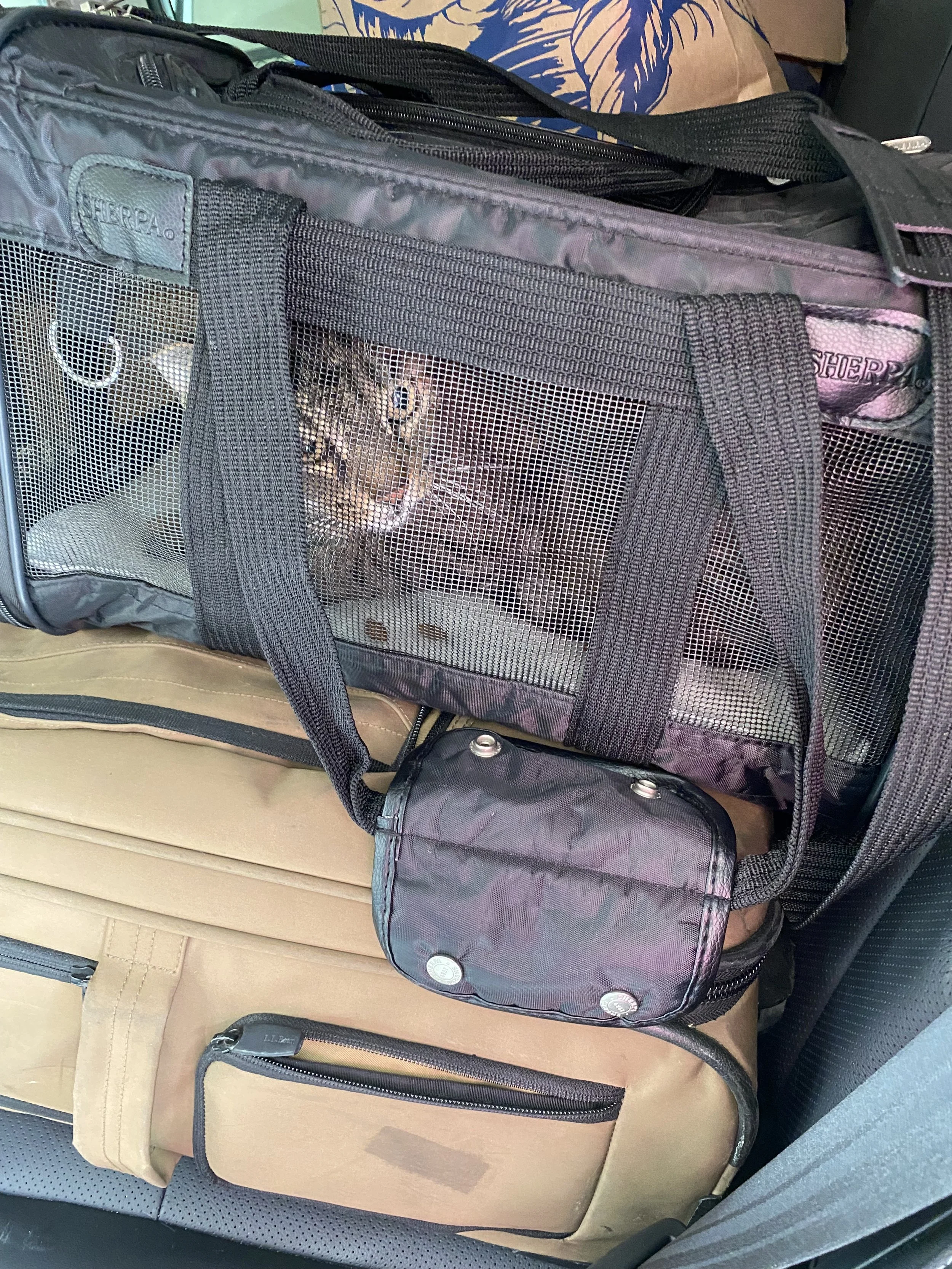 BRINGING SUNSHINE TO MAINE