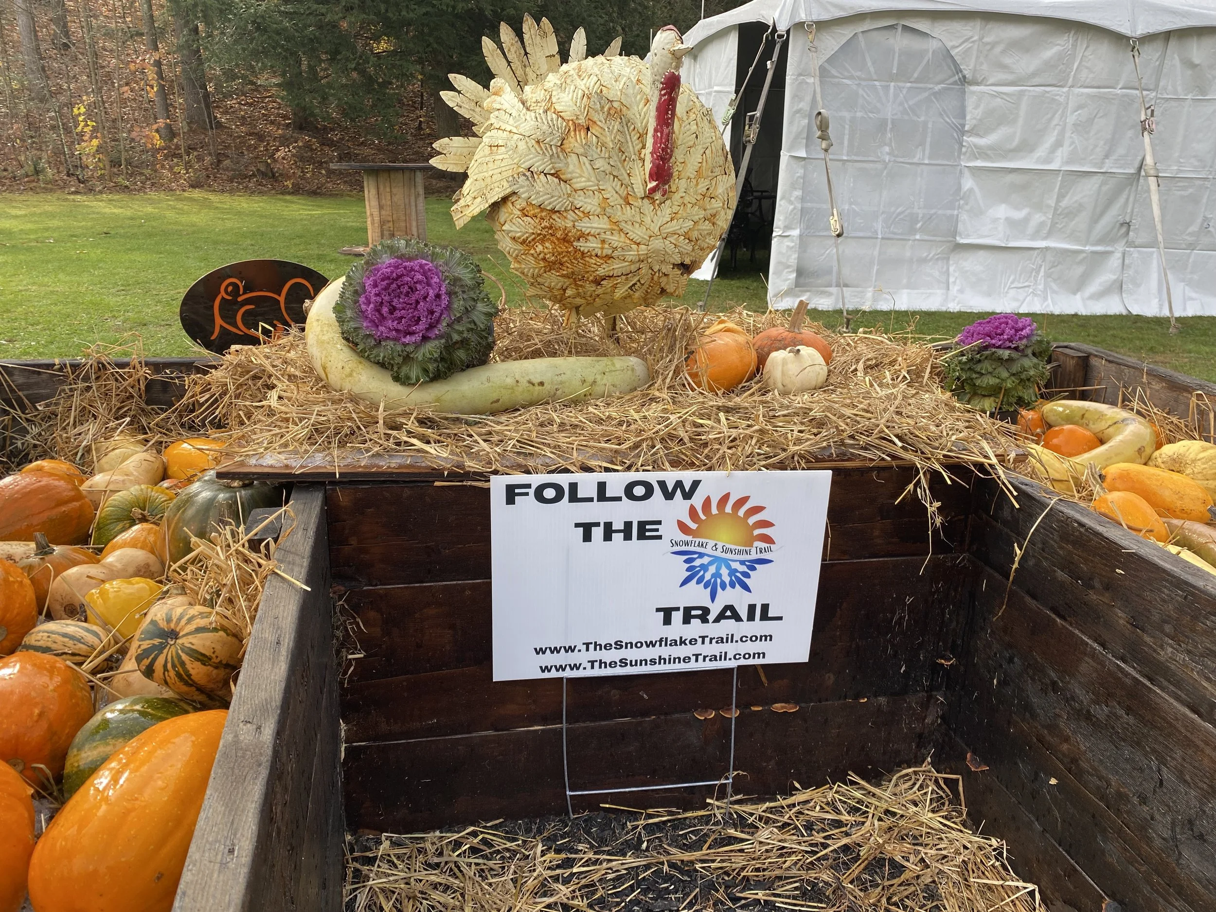 A FRIDAY JAUNT WITH TWO PALS