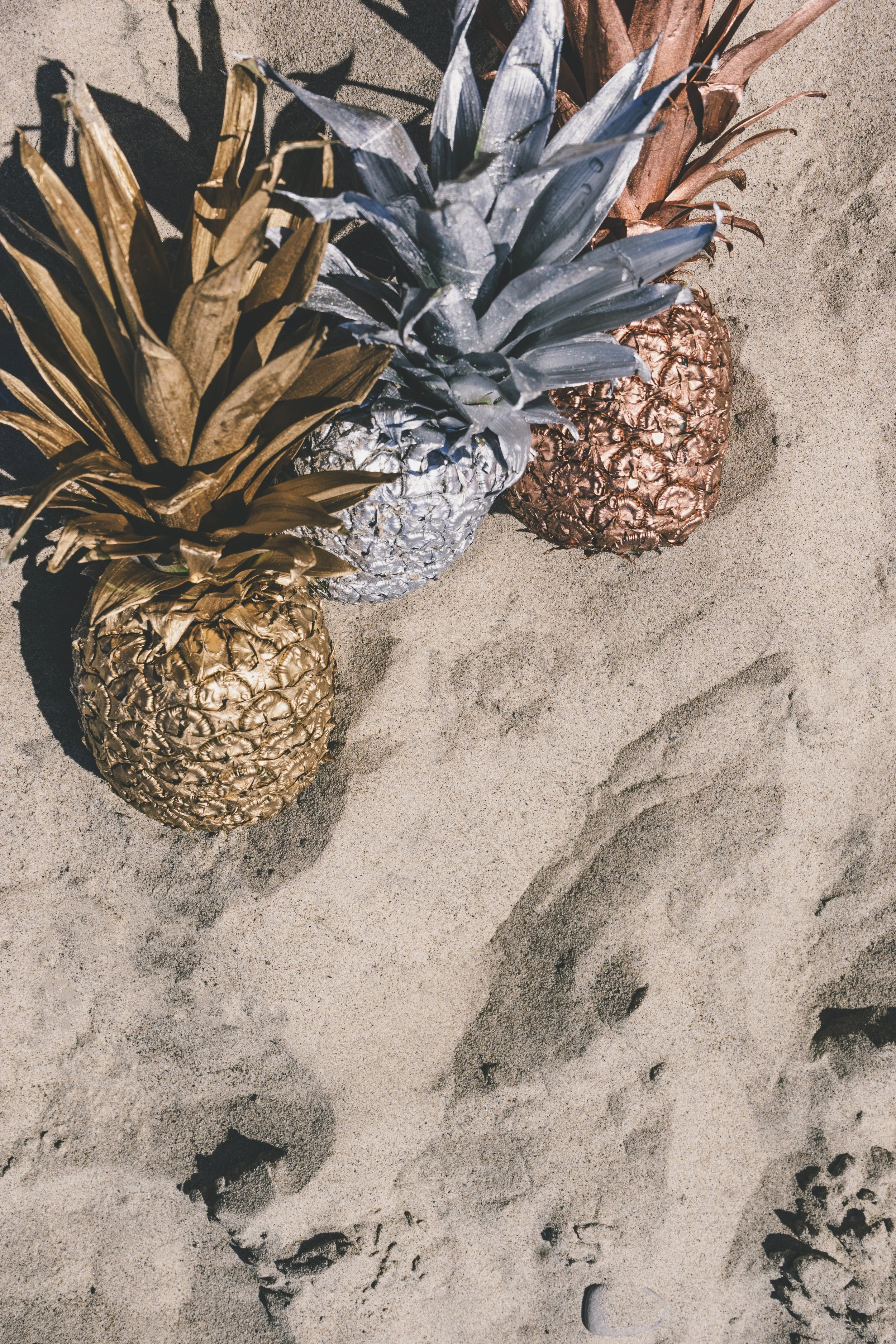 pineapple-supply-co-102693.jpg