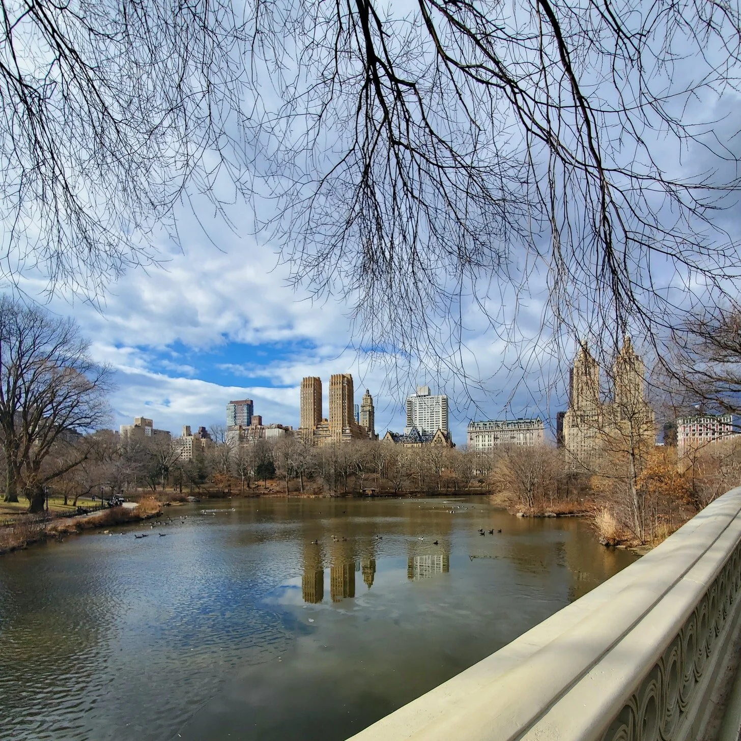 Reddit versus Wall Street