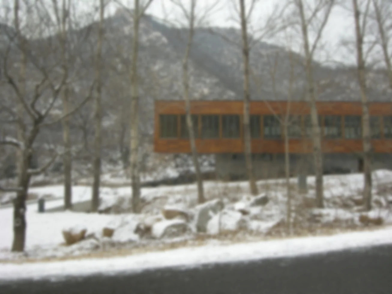 Suitcase House 2.jpg
