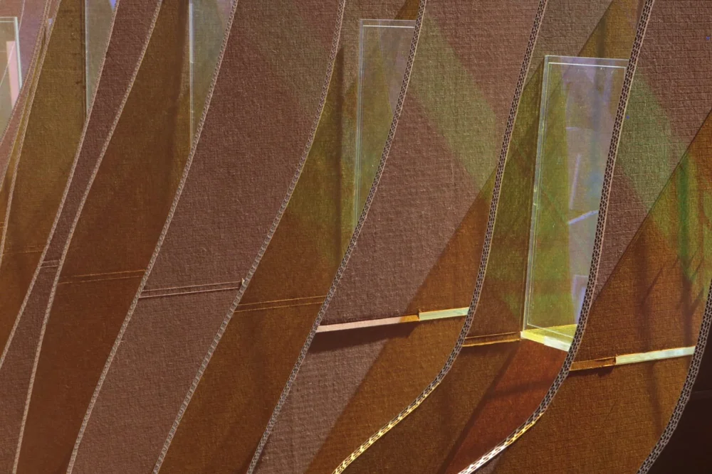 WhatsApp Image 2019-09-21 at 4.16.20 AM.jpeg