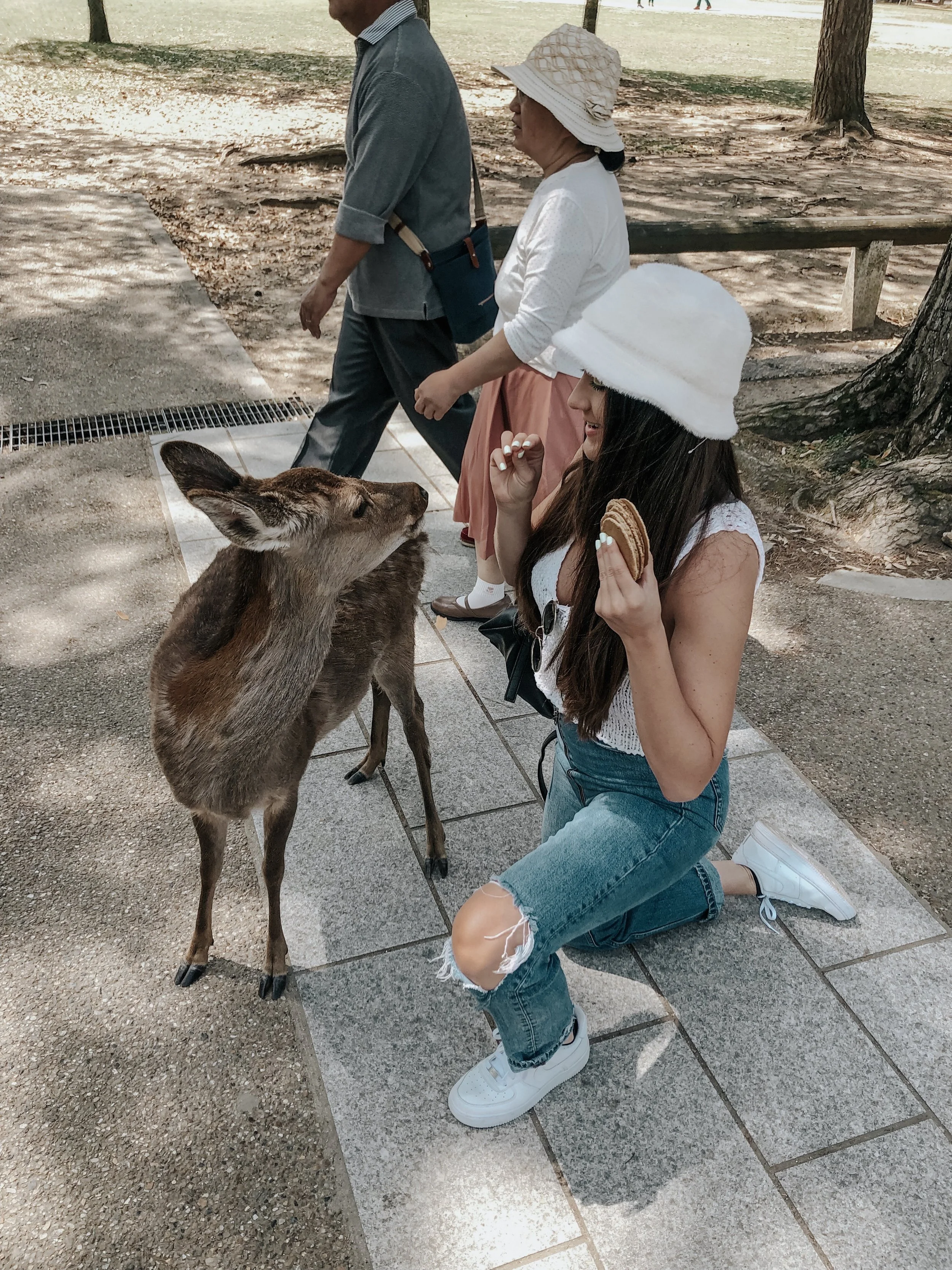 Japan Travel Guide: Osaka 